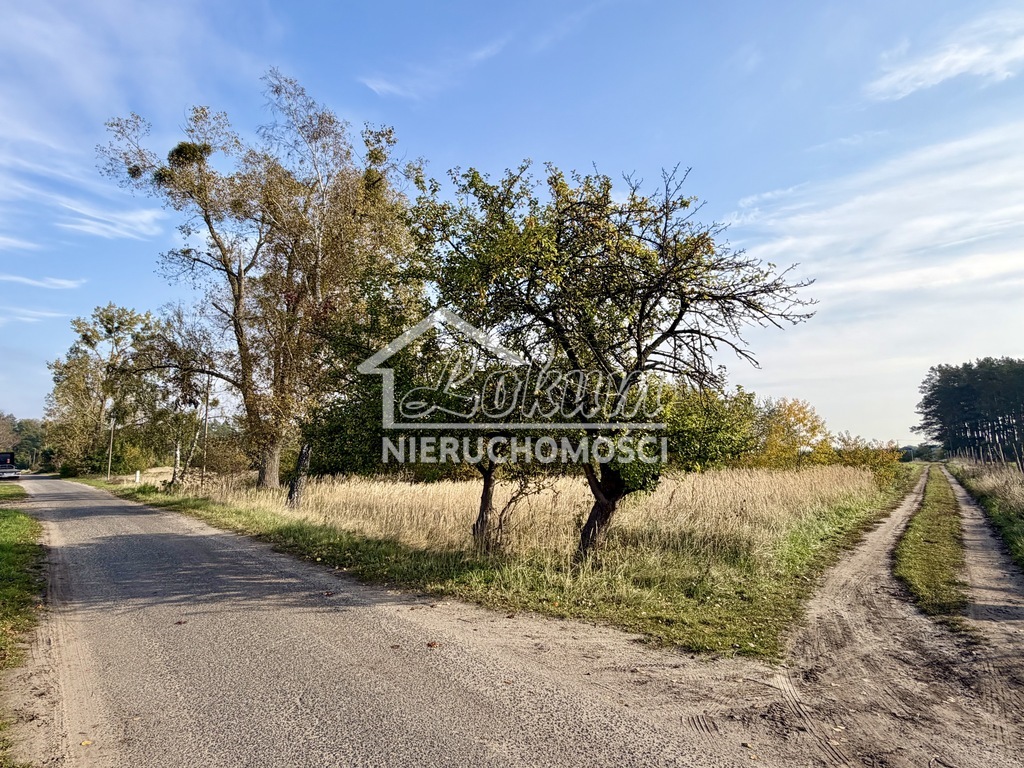 Działka budowlana 3980&nbsp;m², Miękowo - zdjęcie 11