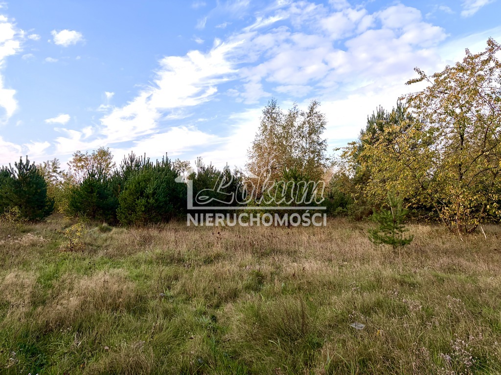 Działka budowlana 3980&nbsp;m², Miękowo - zdjęcie 3