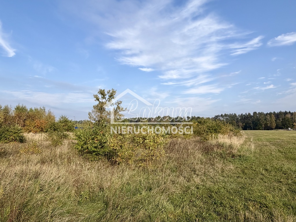 Działka budowlana 3980&nbsp;m², Miękowo - zdjęcie 10