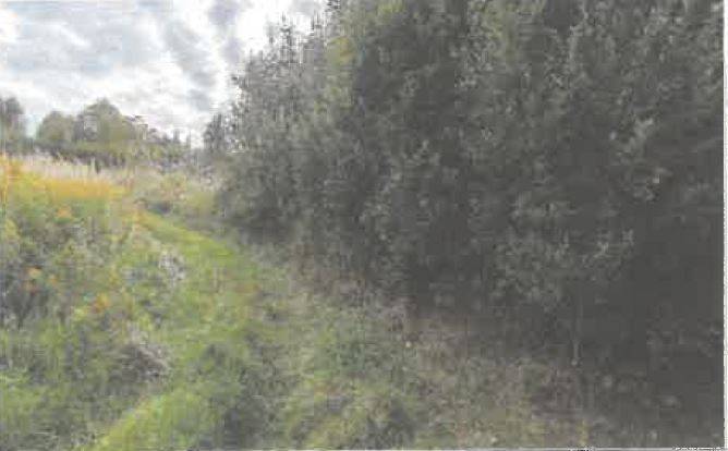 Działka rolna 5600 m², Barycz - zdjęcie 7
