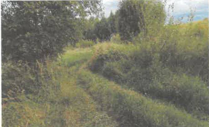 Działka rolna 5600 m², Barycz - zdjęcie 10