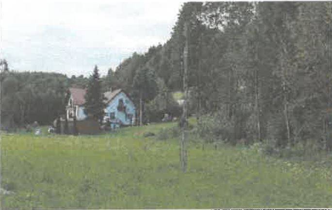 Działka rolna 5600 m², Barycz - zdjęcie 5