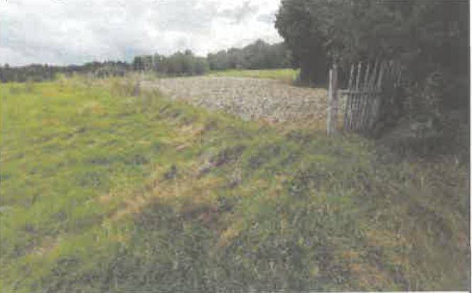 Działka rolna 5600 m², Barycz - zdjęcie 2