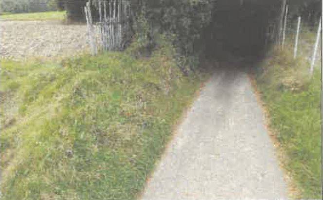Działka rolna 5600 m², Barycz - zdjęcie 4
