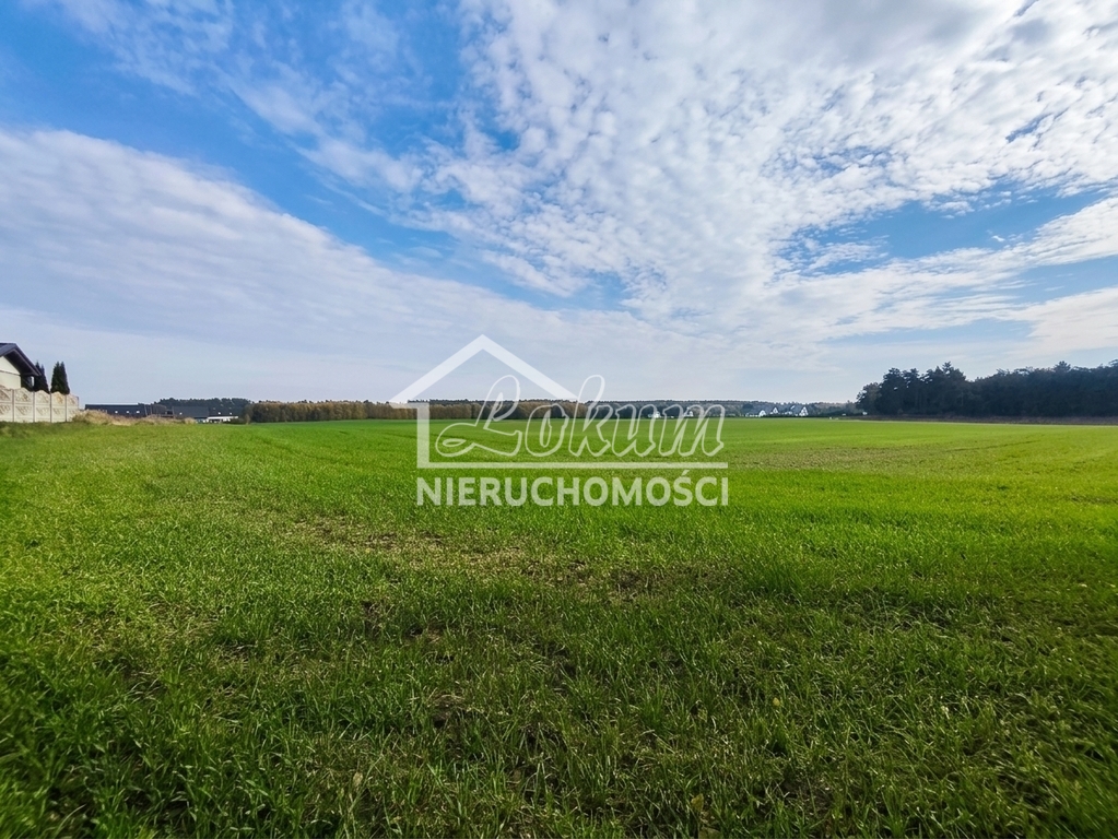 Działka budowlana 1069 m², Grabowo - zdjęcie 6