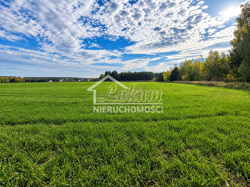Działka budowlana 1069 m², Grabowo - zdjęcie 4