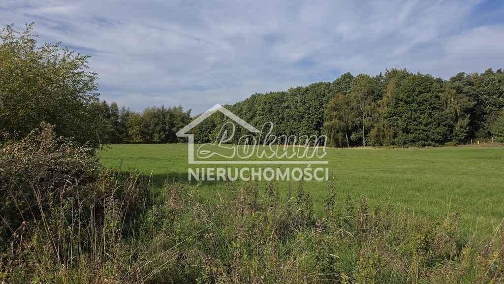 Działka budowlana 716&nbsp;m², Przęsocin - zdjęcie 2