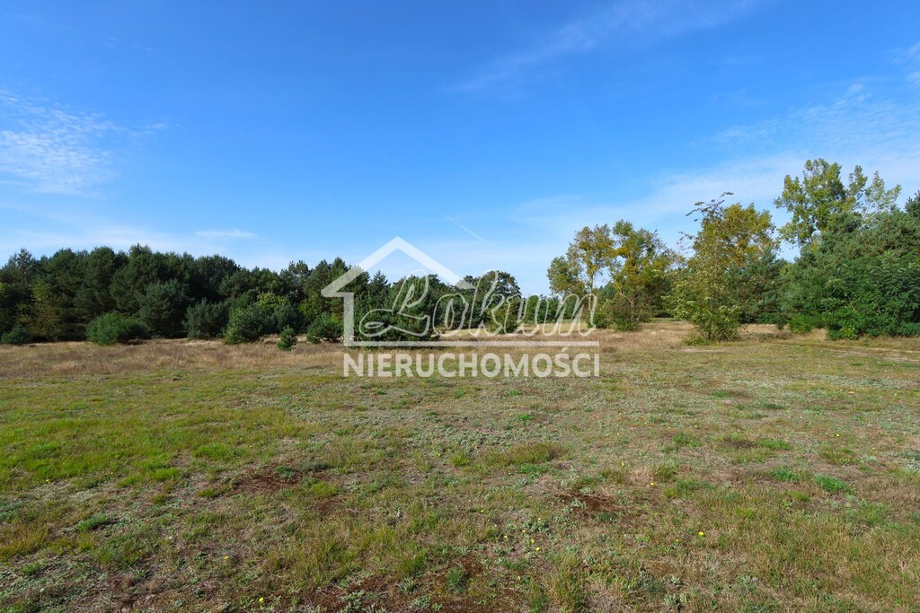Działka rolna 3139&nbsp;m², Żarnowo - zdjęcie 7