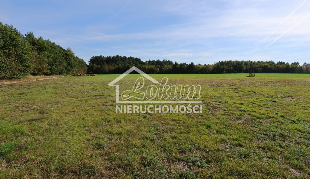 Działka rolna 3139&nbsp;m², Żarnowo - zdjęcie 5