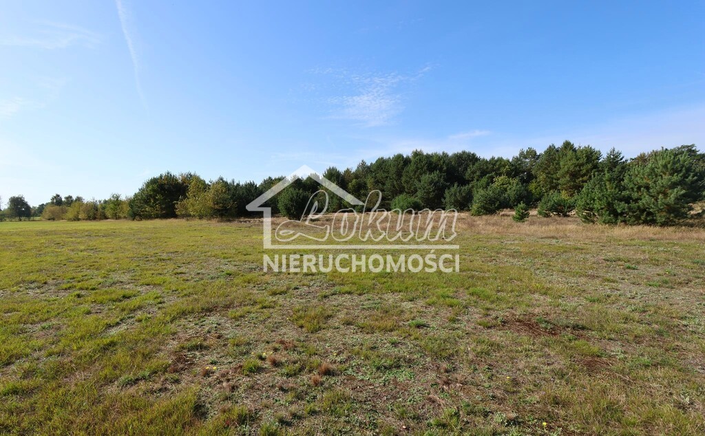 Działka rolna 3139&nbsp;m², Żarnowo - zdjęcie 4