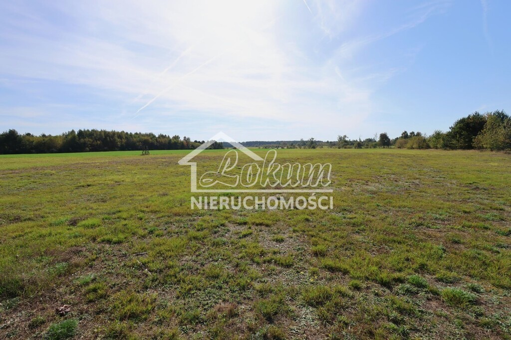 Działka rolna 3139&nbsp;m², Żarnowo - zdjęcie 2