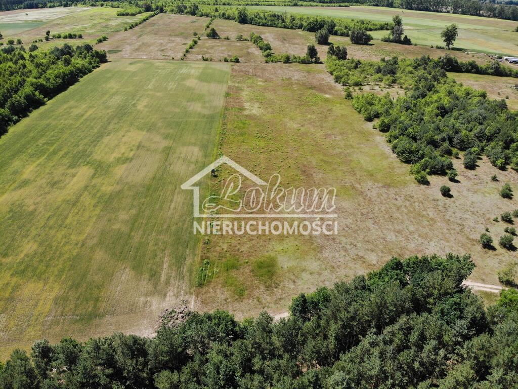 Działka rolna 3139&nbsp;m², Żarnowo - zdjęcie 3