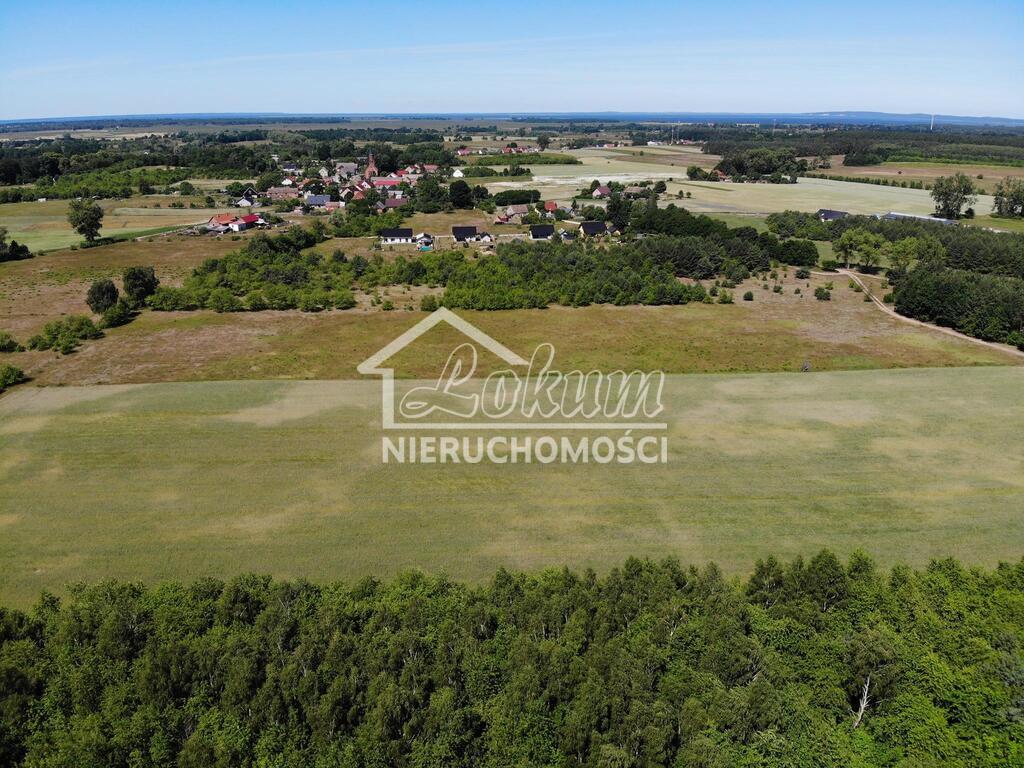 Działka rolna 3139&nbsp;m², Żarnowo - zdjęcie 6