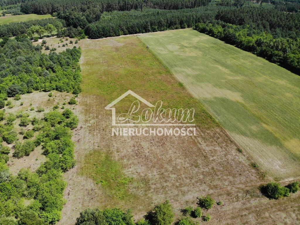 Działka rolna 3139&nbsp;m², Żarnowo - zdjęcie 8