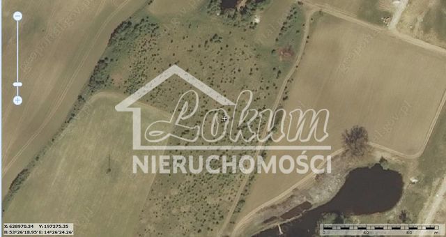 Działka rolna 6257&nbsp;m², Mierzyn - zdjęcie 1