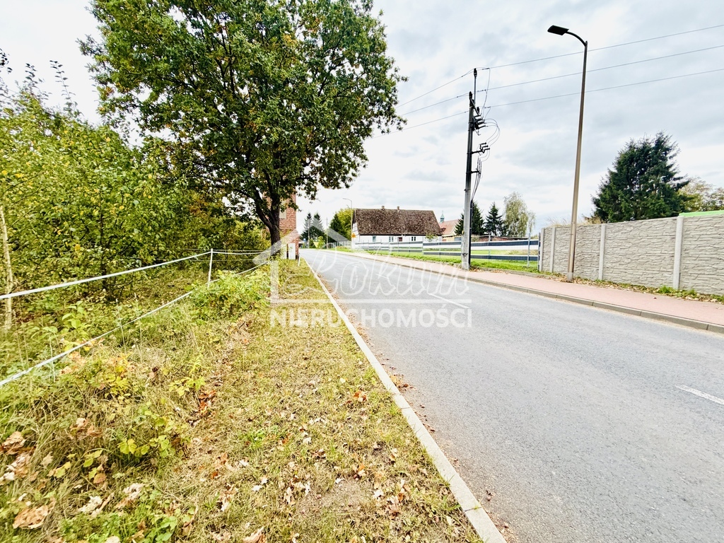 Działka rolna 6000 m², Żółwia Błoć - zdjęcie 1