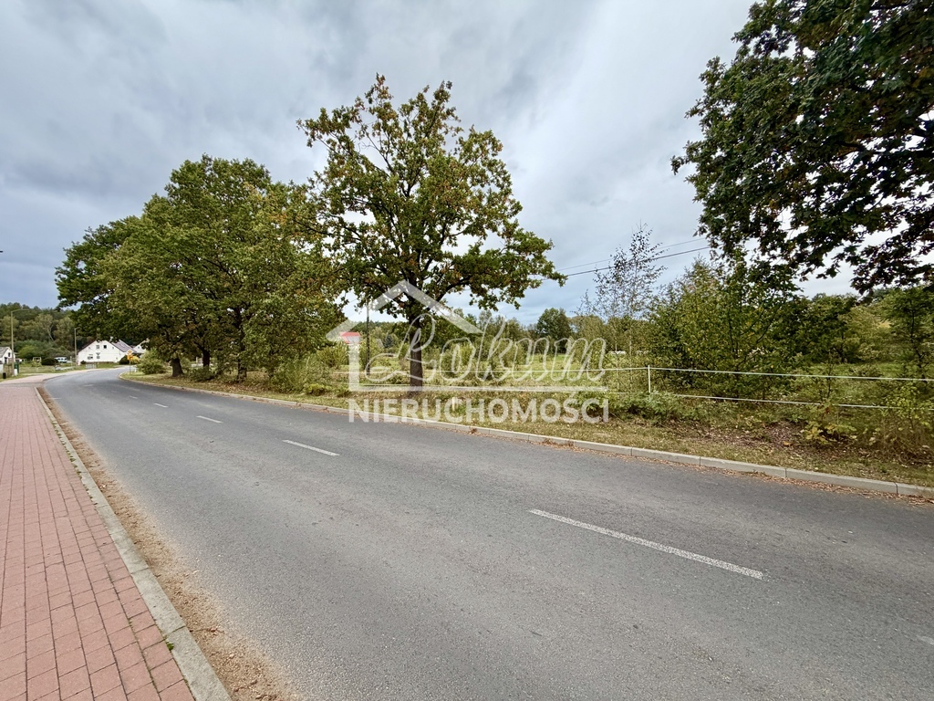 Działka rolna 6000 m², Żółwia Błoć - zdjęcie 9