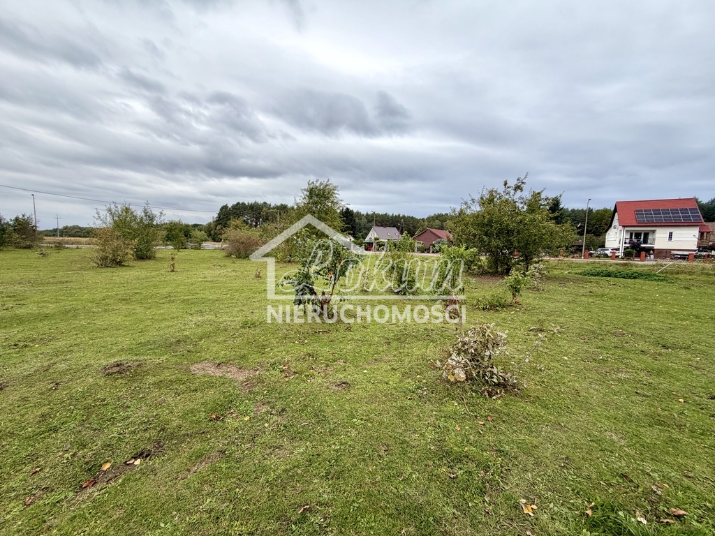 Działka rolna 6000 m², Żółwia Błoć - zdjęcie 7