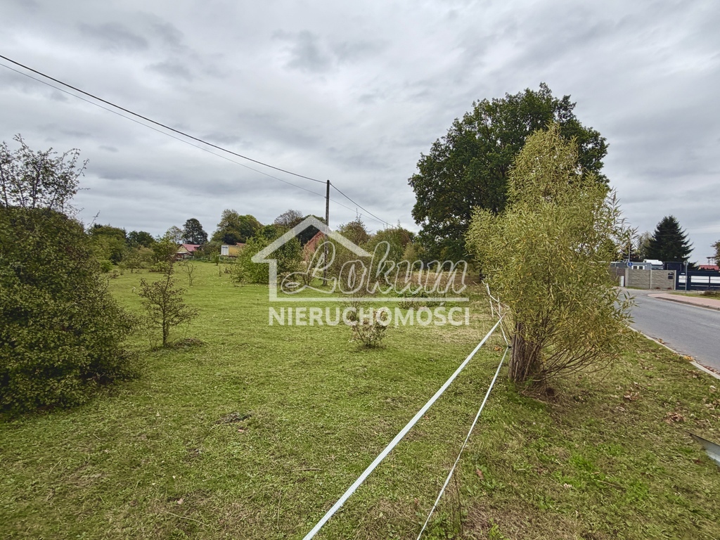 Działka rolna 6000 m², Żółwia Błoć - zdjęcie 5