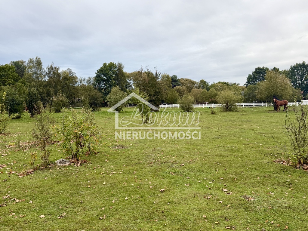 Działka rolna 6000 m², Żółwia Błoć - zdjęcie 8