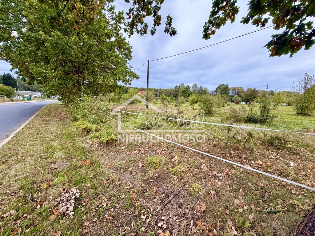 Działka rolna 3000&nbsp;m², Żółwia Błoć - zdjęcie 3
