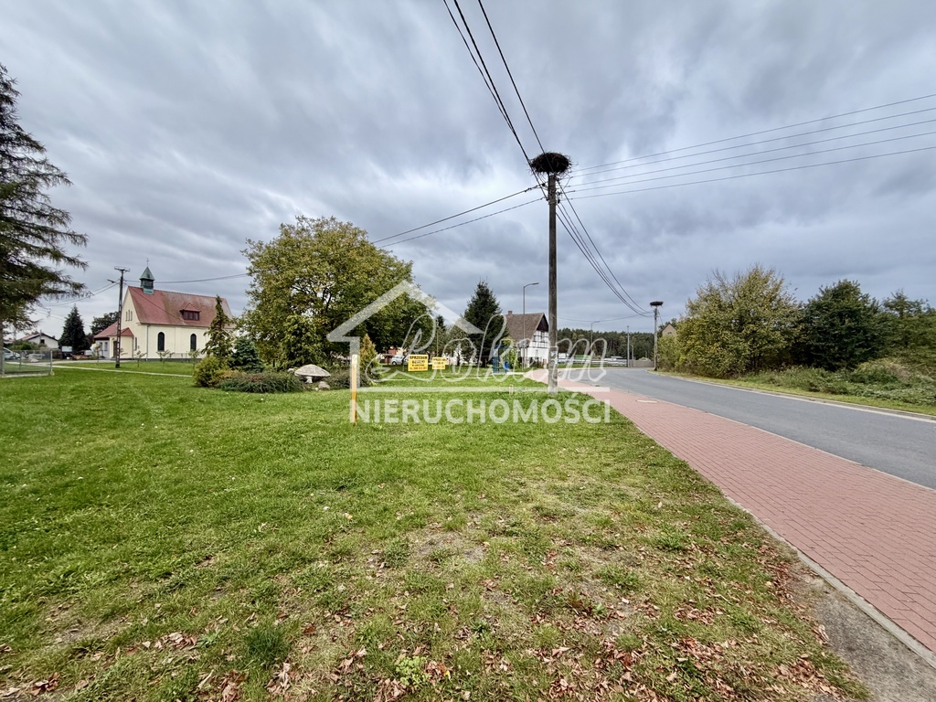 Działka rolna 3000&nbsp;m², Żółwia Błoć - zdjęcie 9