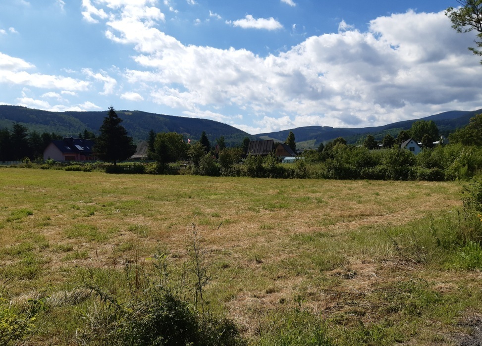 Działka inwestycyjna 5877&nbsp;m², Kowary, Kamiennogórska - zdjęcie 3