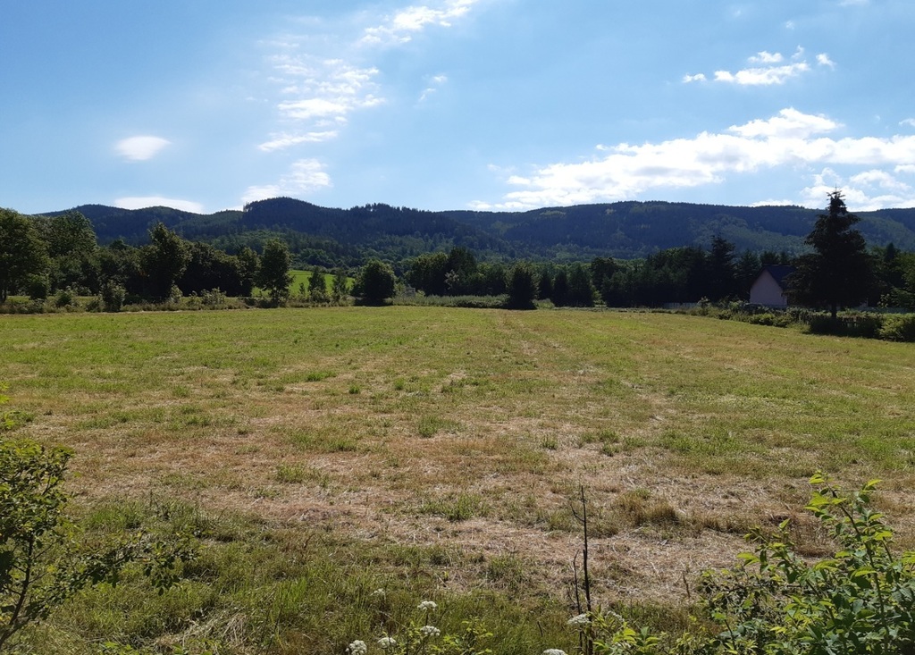Działka inwestycyjna 5877&nbsp;m², Kowary, Kamiennogórska - zdjęcie 2