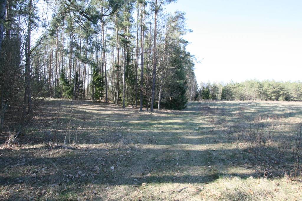 Działka inwestycyjna 1318 m², Kopanica - zdjęcie 2
