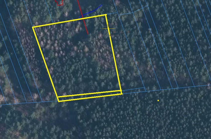 Działka rekreacyjna zalesiona w Grzmiących, 5 834 m² - zdjęcie 1