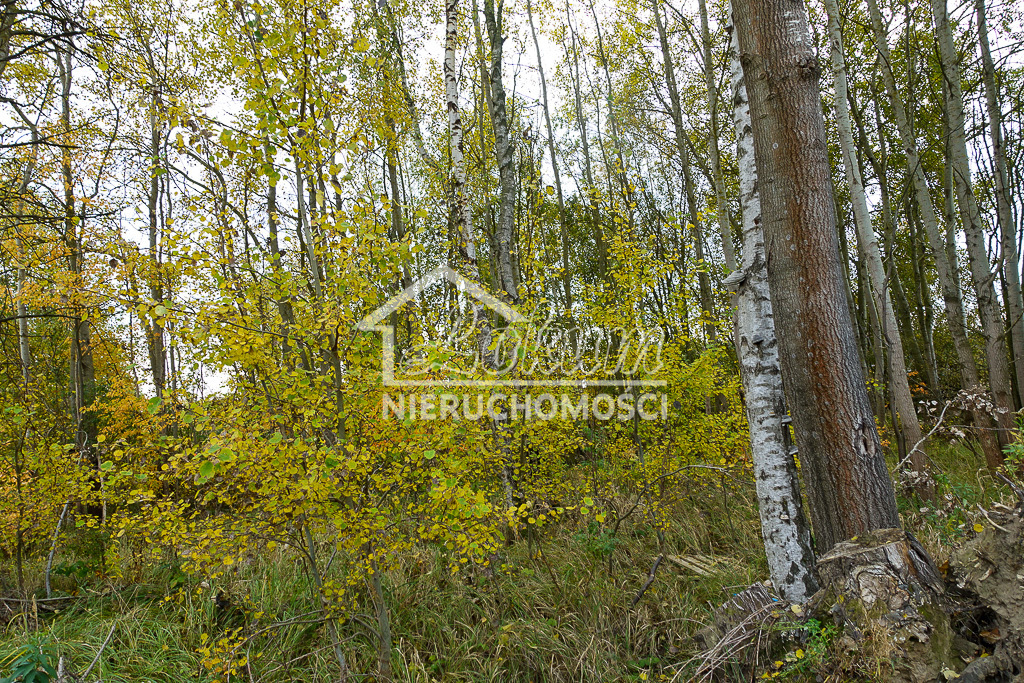 Działka budowlana 894 m², Kobylanka - zdjęcie 1
