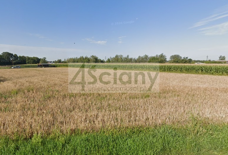 Działka budowlana 2996&nbsp;m², Stare Faszczyce - zdjęcie 1