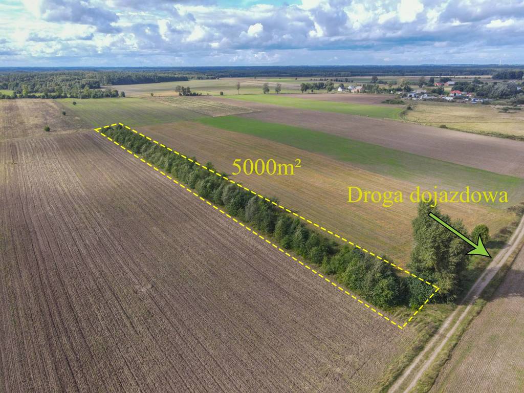 Działka rolna 5000 m², Białogórzyno - zdjęcie 3