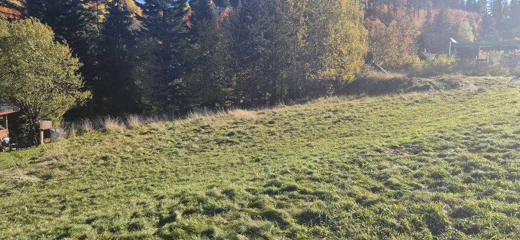 Działka budowlana 1238 m², Korbielów, Pod Buczynką - zdjęcie 3