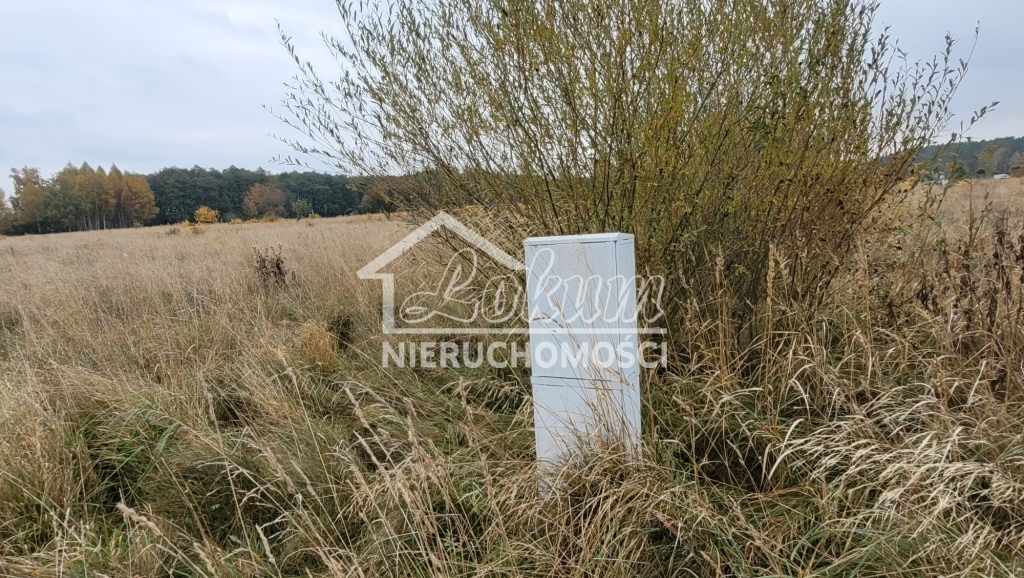 Działka budowlana 7615 m², Żelewo - zdjęcie 1