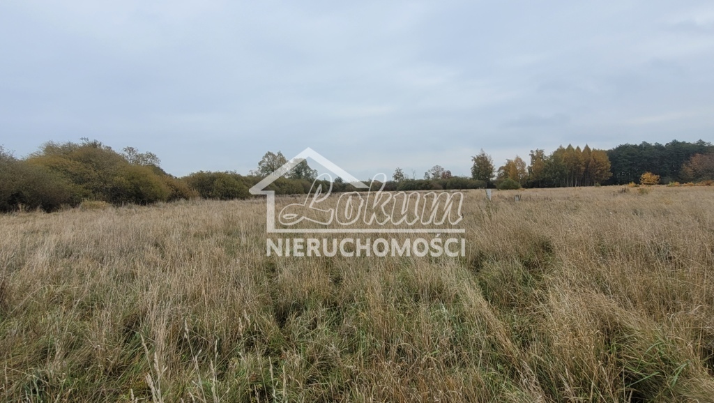 Działka budowlana 7615 m², Żelewo - zdjęcie 6