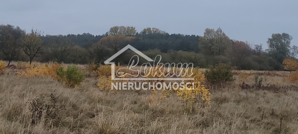 Działka budowlana 7615 m², Żelewo - zdjęcie 4