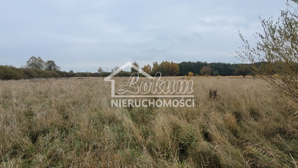 Działka budowlana 7615 m², Żelewo - zdjęcie 5