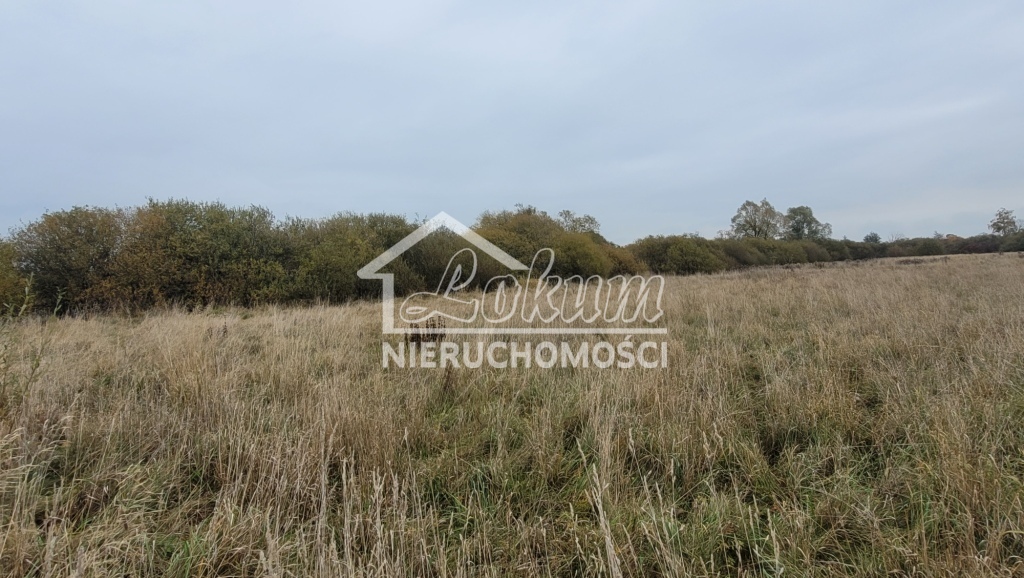 Działka budowlana 7615 m², Żelewo - zdjęcie 7