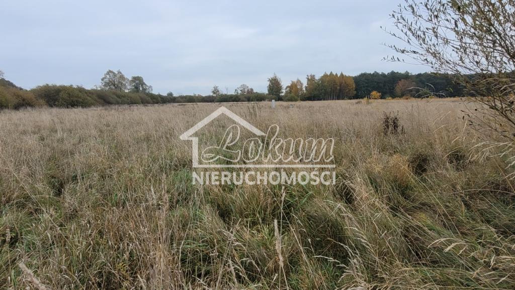 Działka budowlana 7615 m², Żelewo - zdjęcie 8