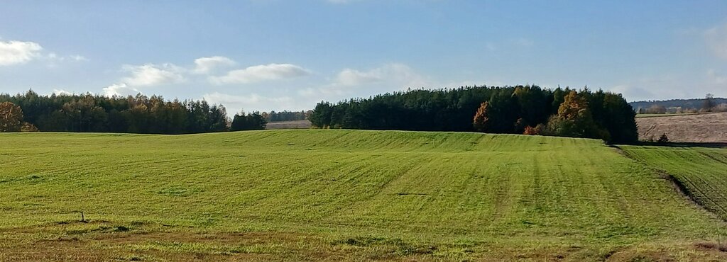 Działka budowlana 3000 m², Borcz - zdjęcie 2