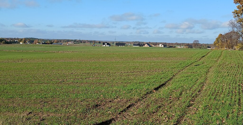 Działka budowlana 3000 m², Borcz - zdjęcie 1
