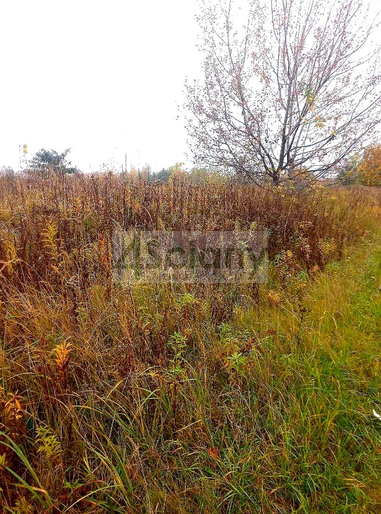 Działka budowlana 1200&nbsp;m², Raszyn - zdjęcie 2