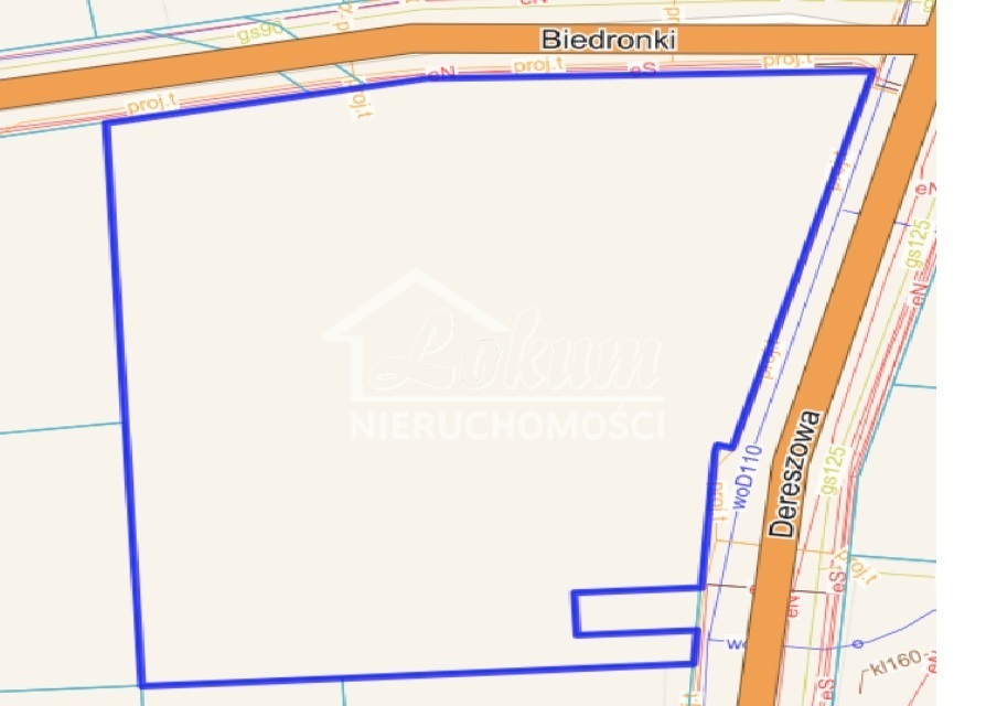 Działka budowlana 5993&nbsp;m², Dobra - zdjęcie 2