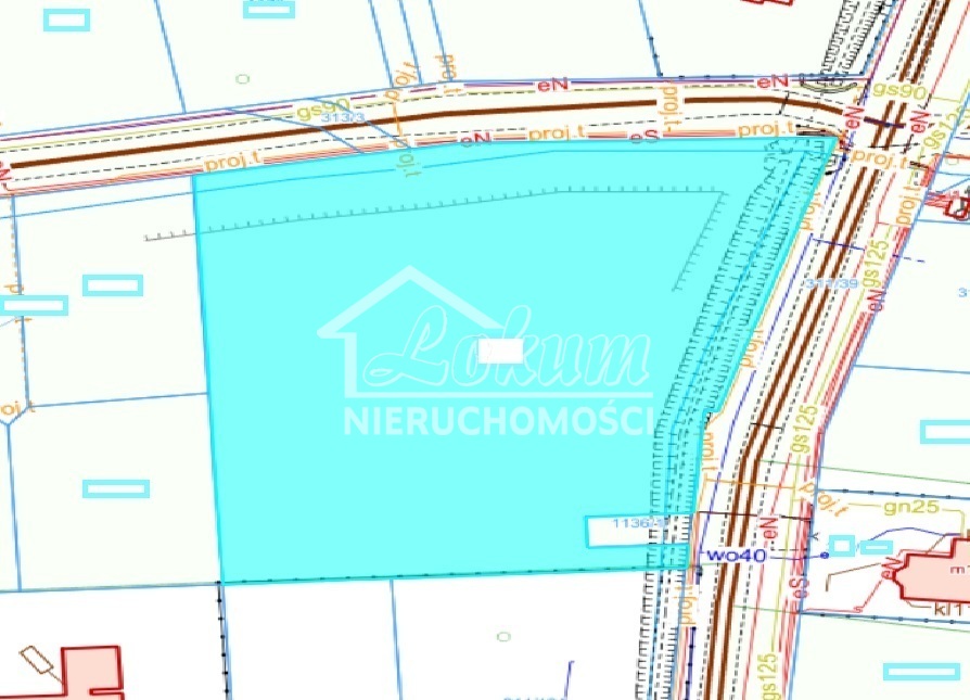 Działka budowlana 5993&nbsp;m², Dobra - zdjęcie 3
